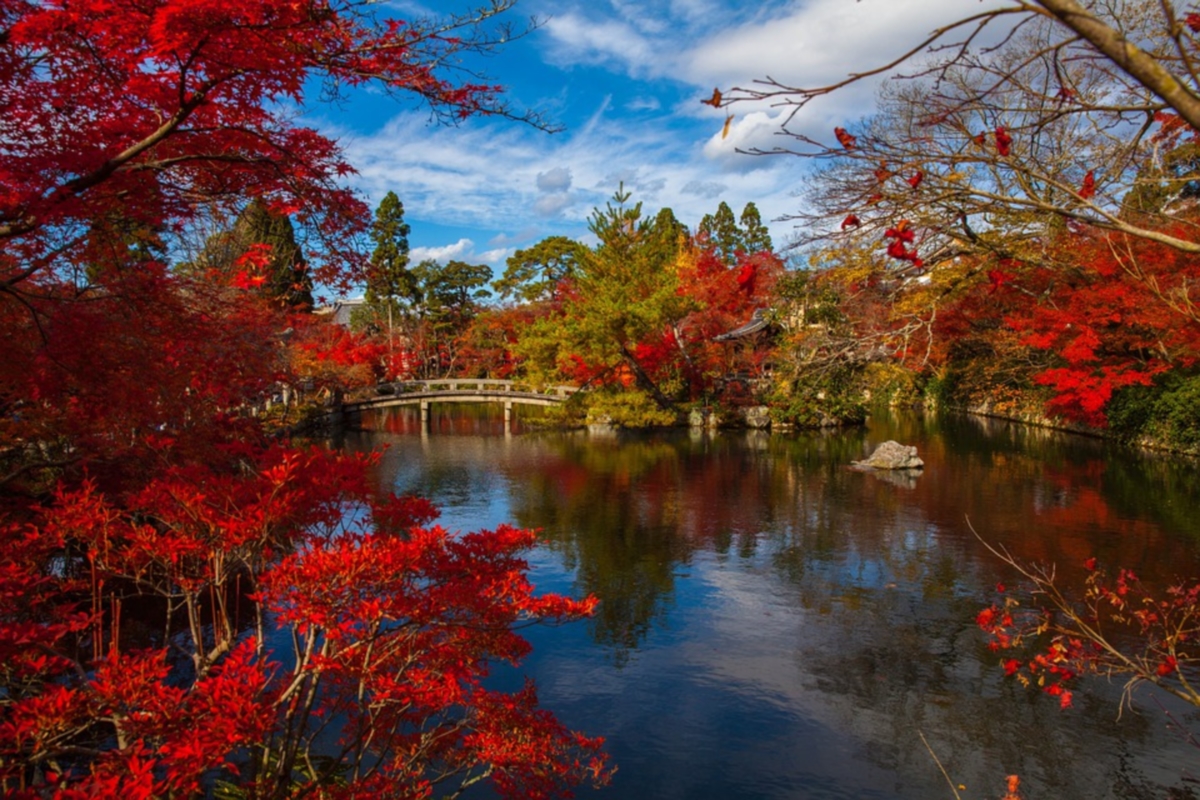 paesaggio autunno del Giappone